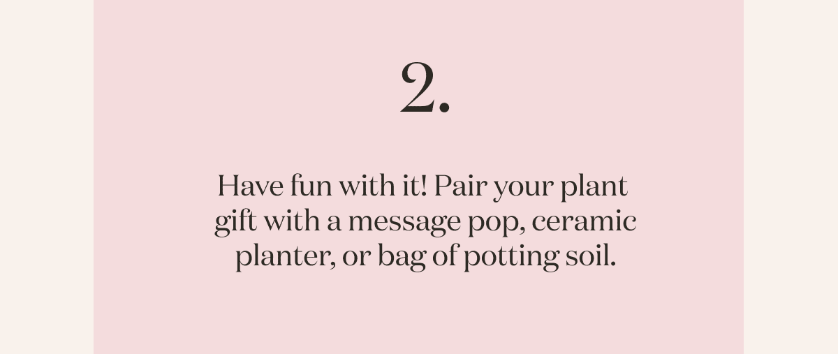 Have fun with it! Pair your plant  gift with a message pop, ceramic planter, or bag of potting soil.