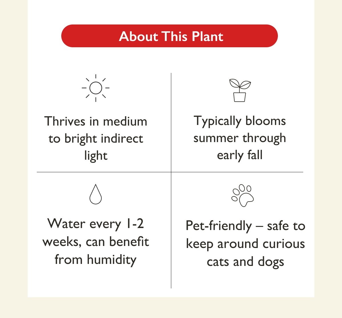 Lipstick Plant Care: Bright indirect light, water every 1-2 weeks, pet-safe.