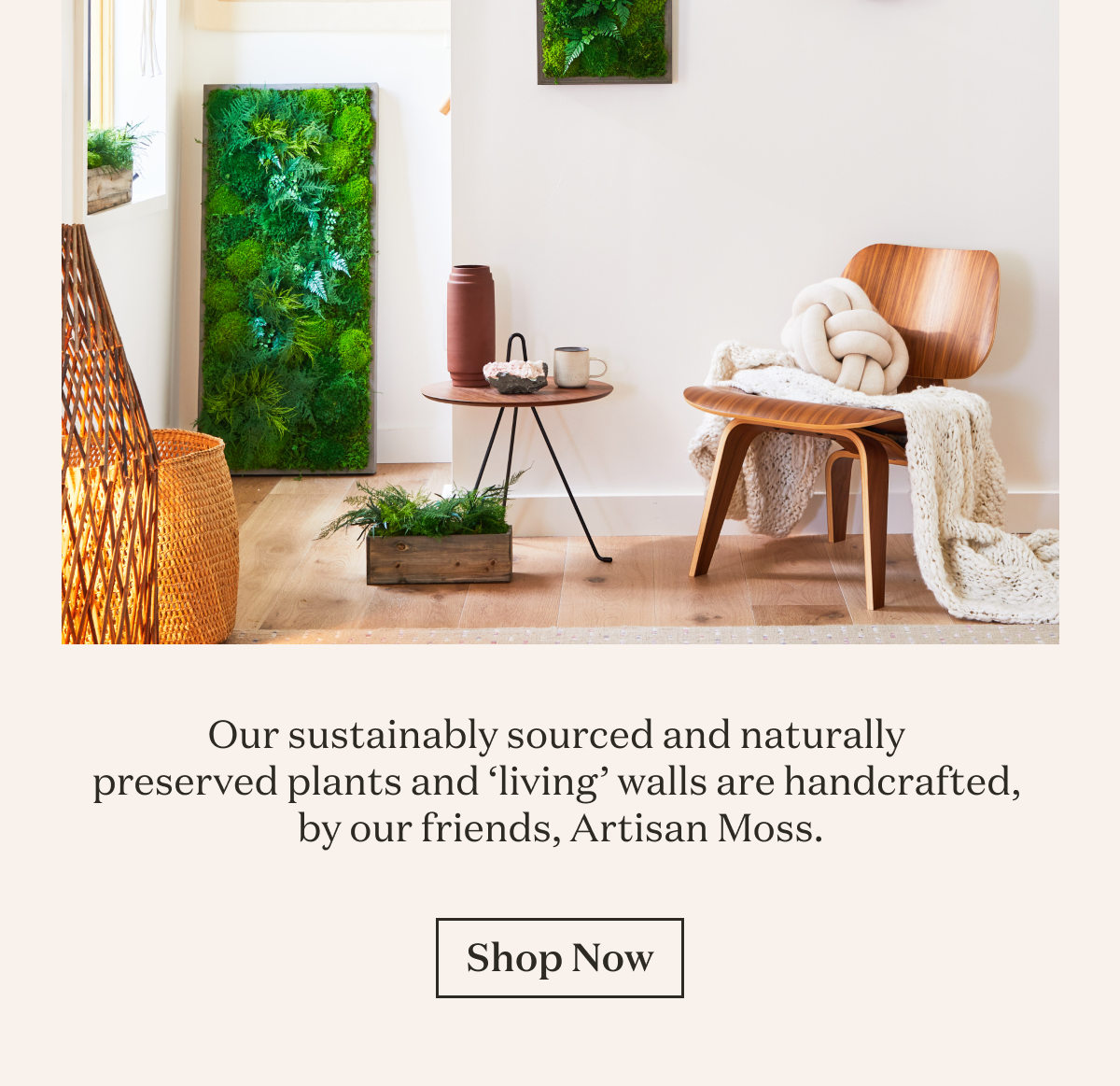 Our sustainably sourced and naturally preserved plants and 'living' walls are handcrafted, but our friends, Artisan Moss.