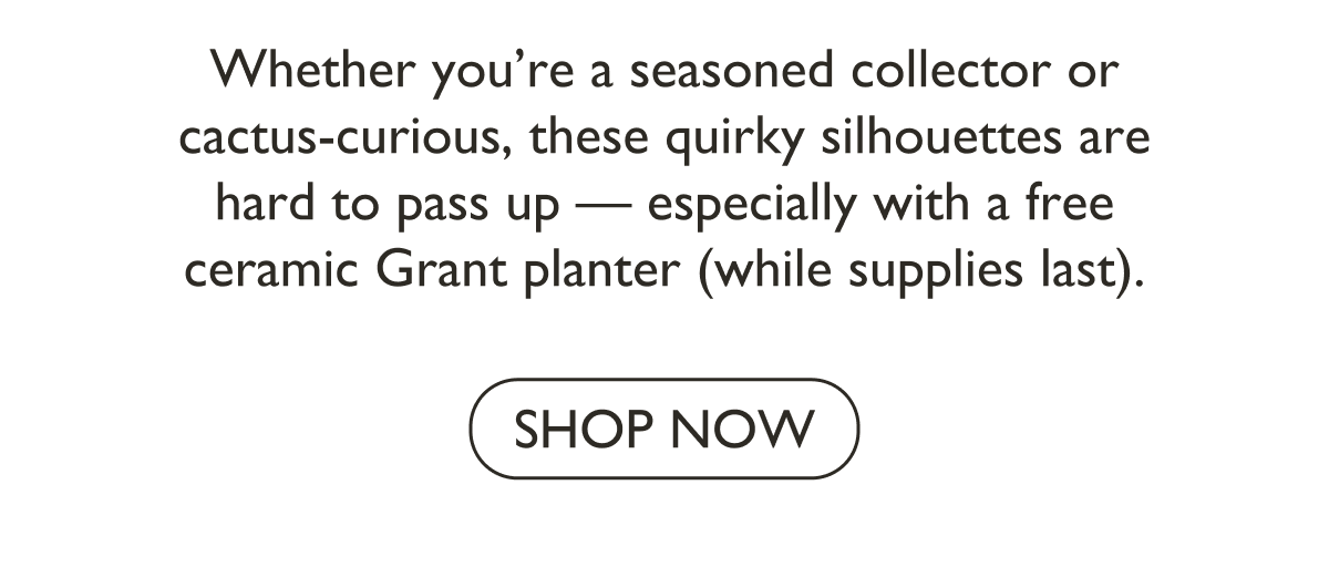 Whether you're a seasoned collector or cacti-curious, these quirky shapes are hard to pass up.
