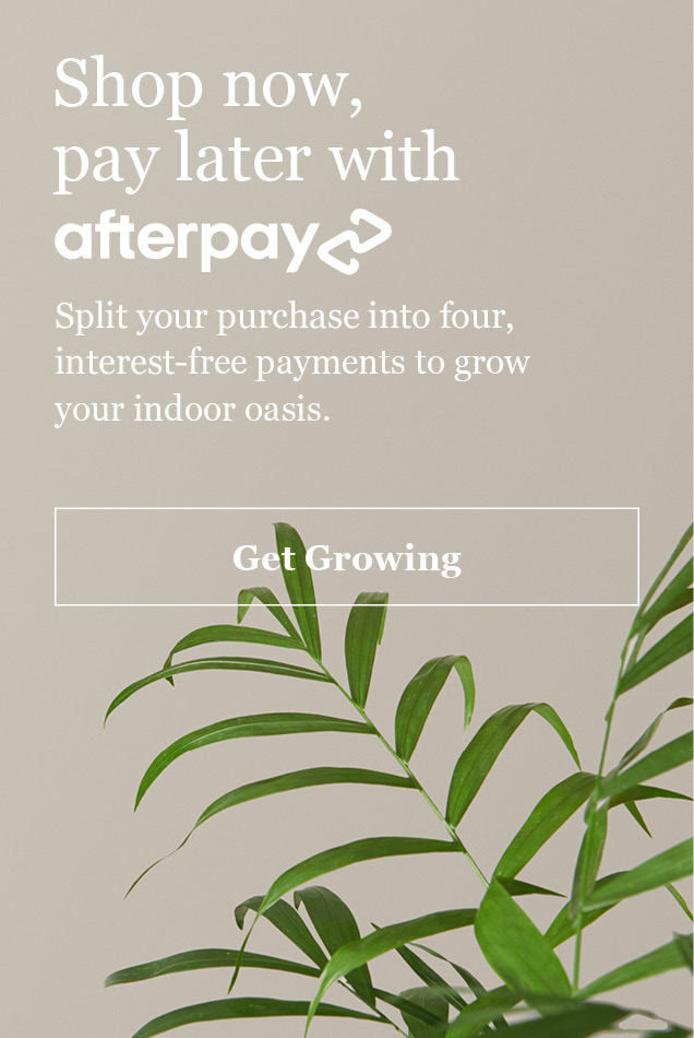 Shop now, pay later with afterpay