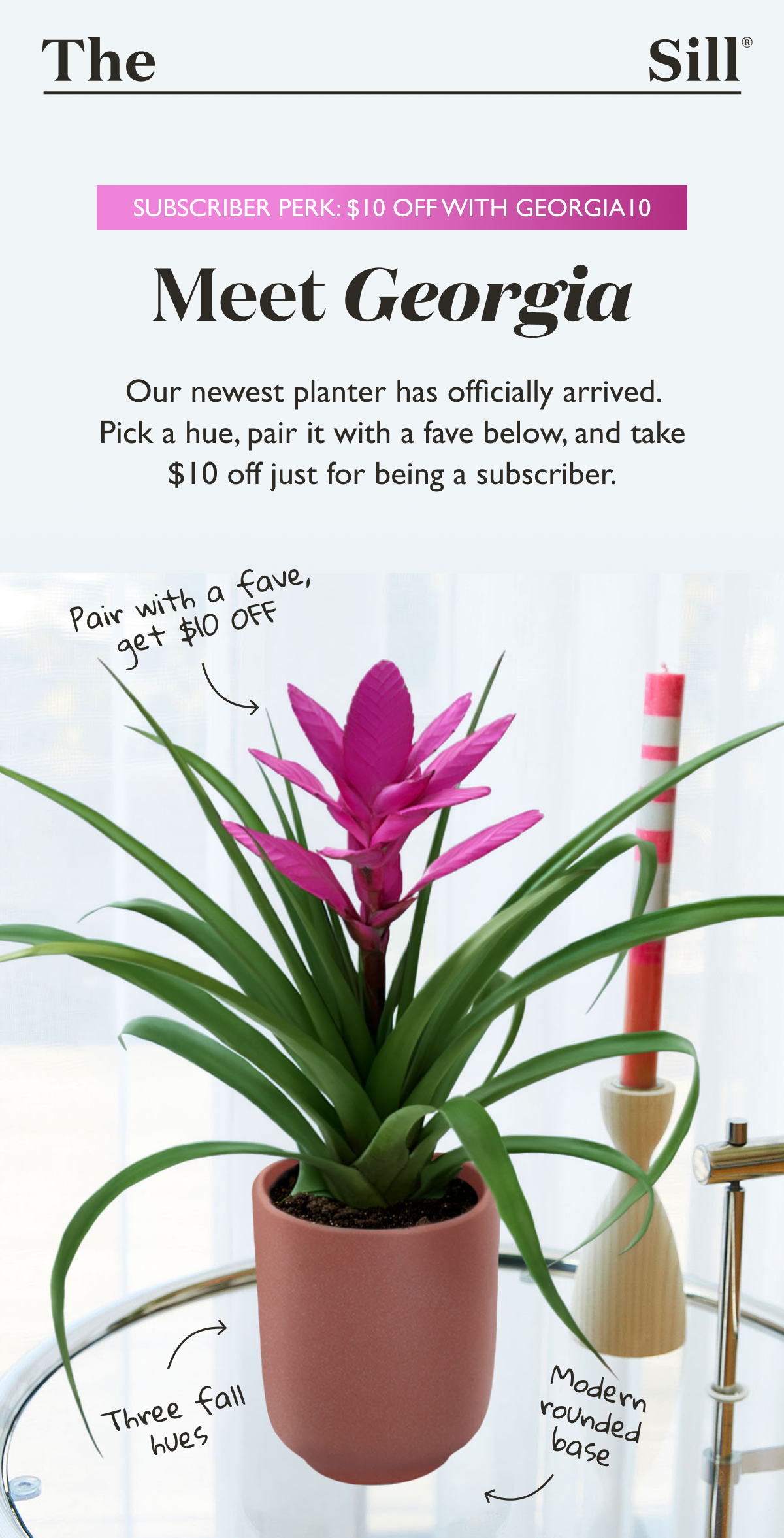Our newest planter has officially arrived. Pick a hue, pair it with a fave below, and take $10 off just for being a subscriber.