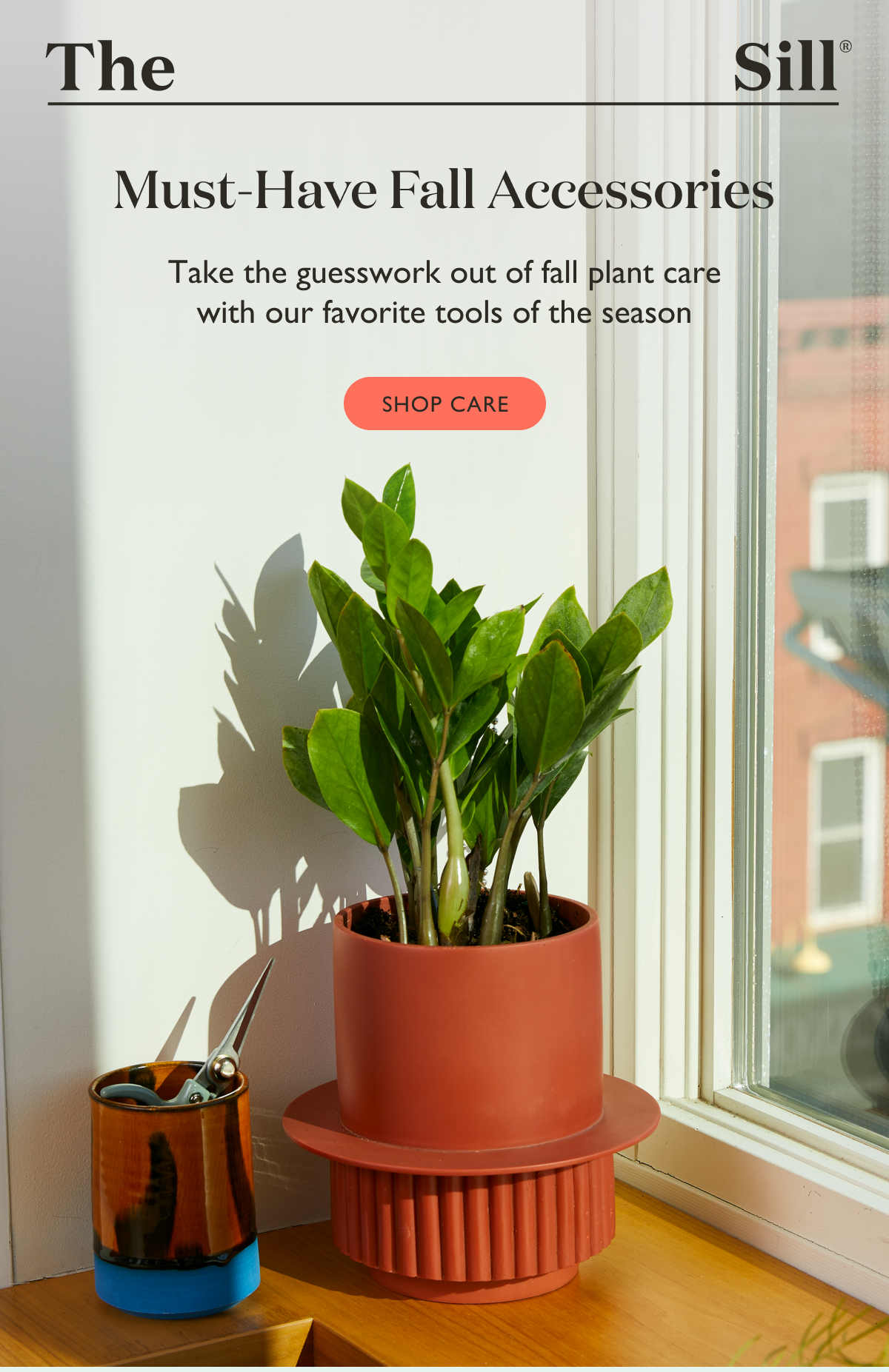 Take the guesswork out of fall plant care with our favorite tools of the season