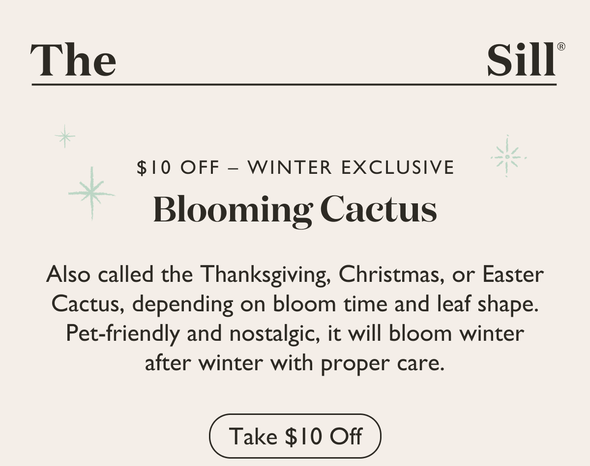 $10 off the Blooming Cactus. Pet-friendly and nostalgic, it will bloom winter after winter with proper care.