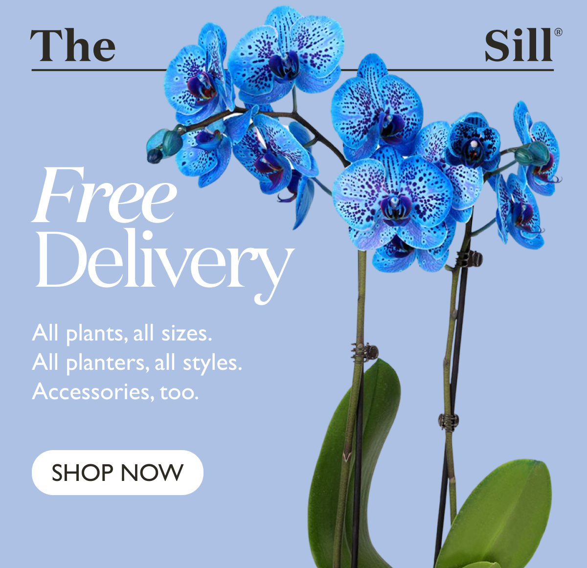 Free delivery. All plants, all sizes. All planters. All accessories.