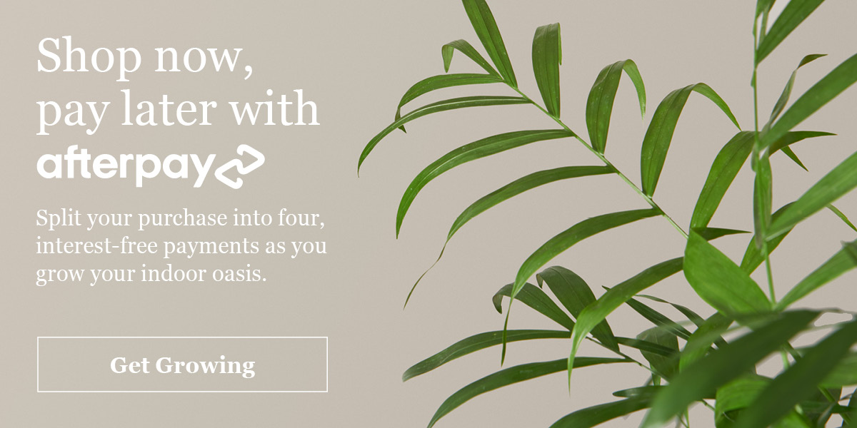 Shop now, pay later with afterpay