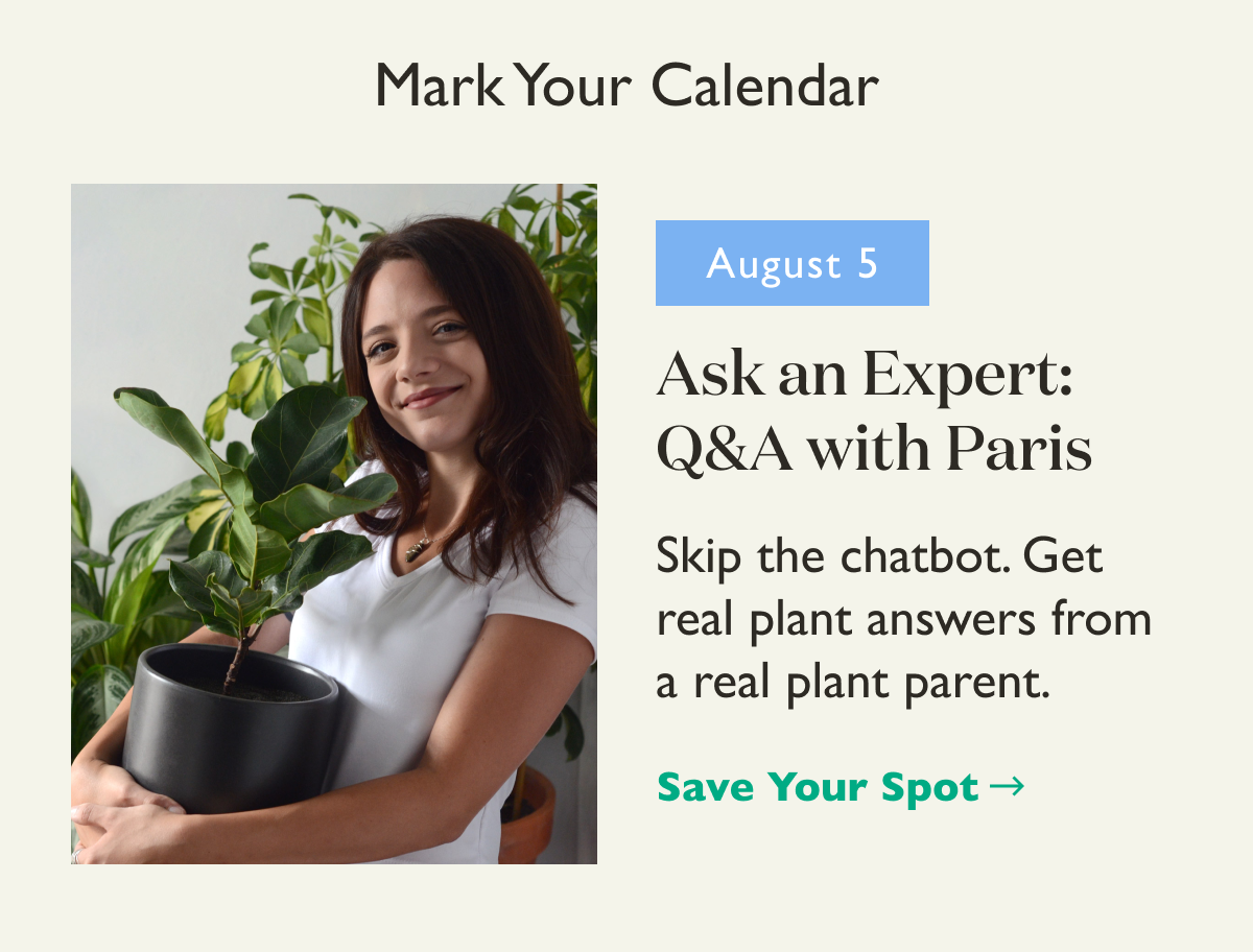 Ask an Expert Q&A with Paris: Learn more.