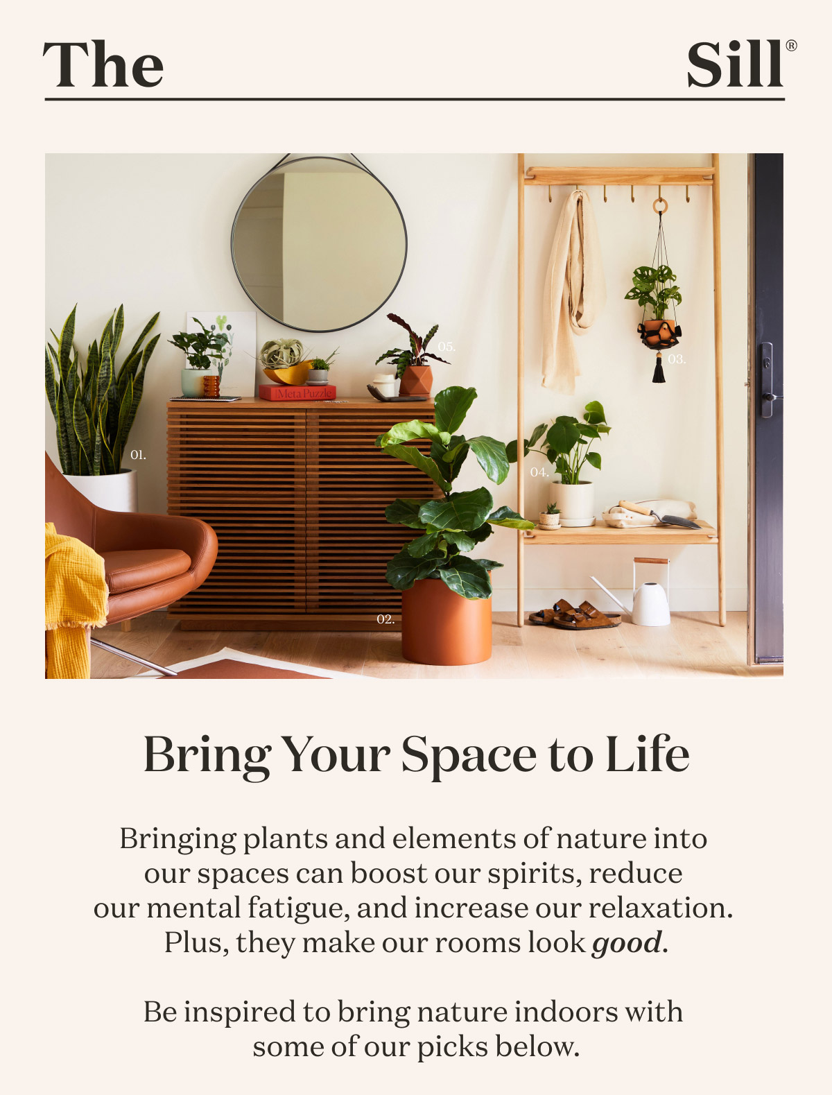 Bring Your Space to Life