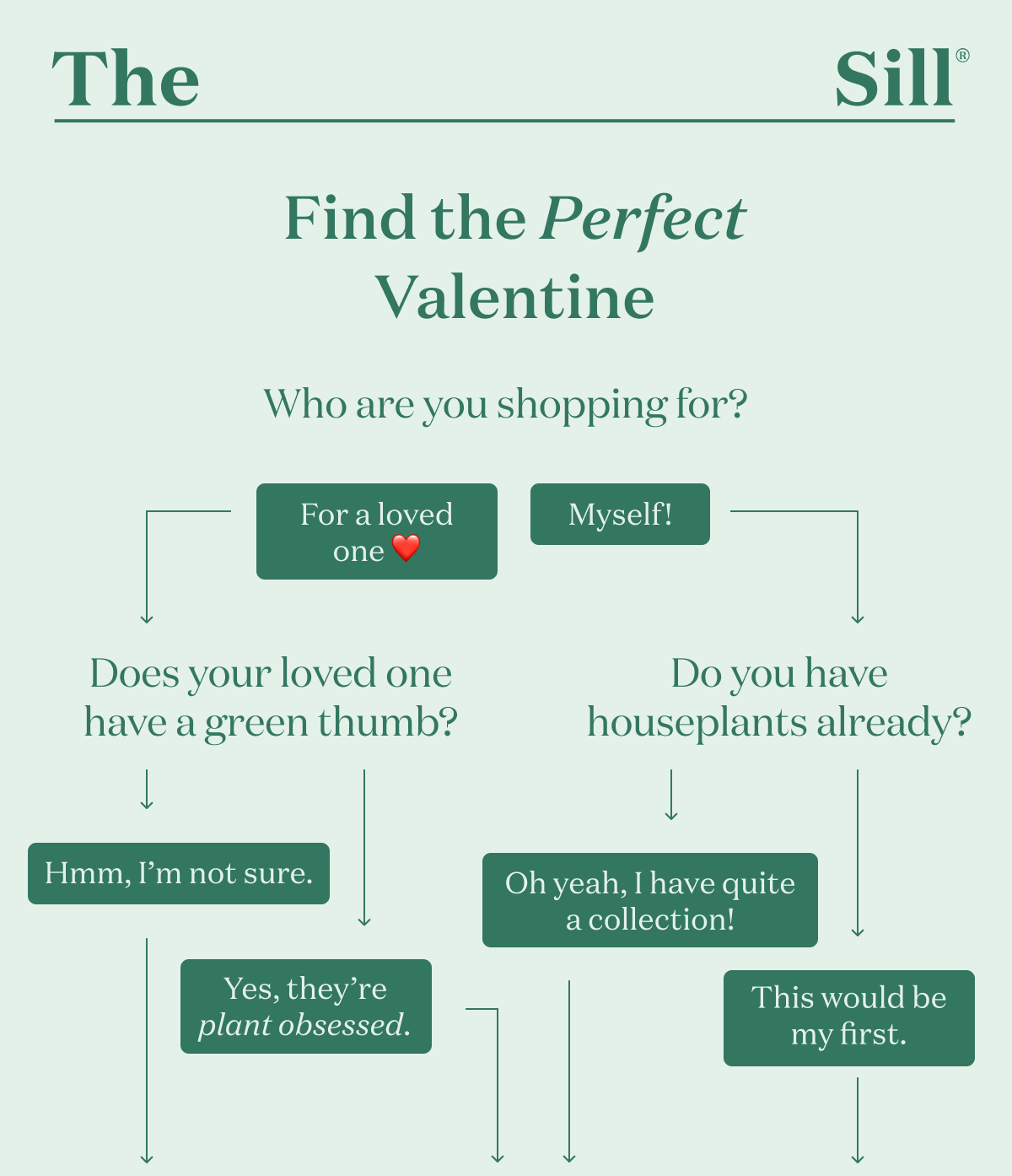 Find the Perfect Valentine's Day Plant Quiz