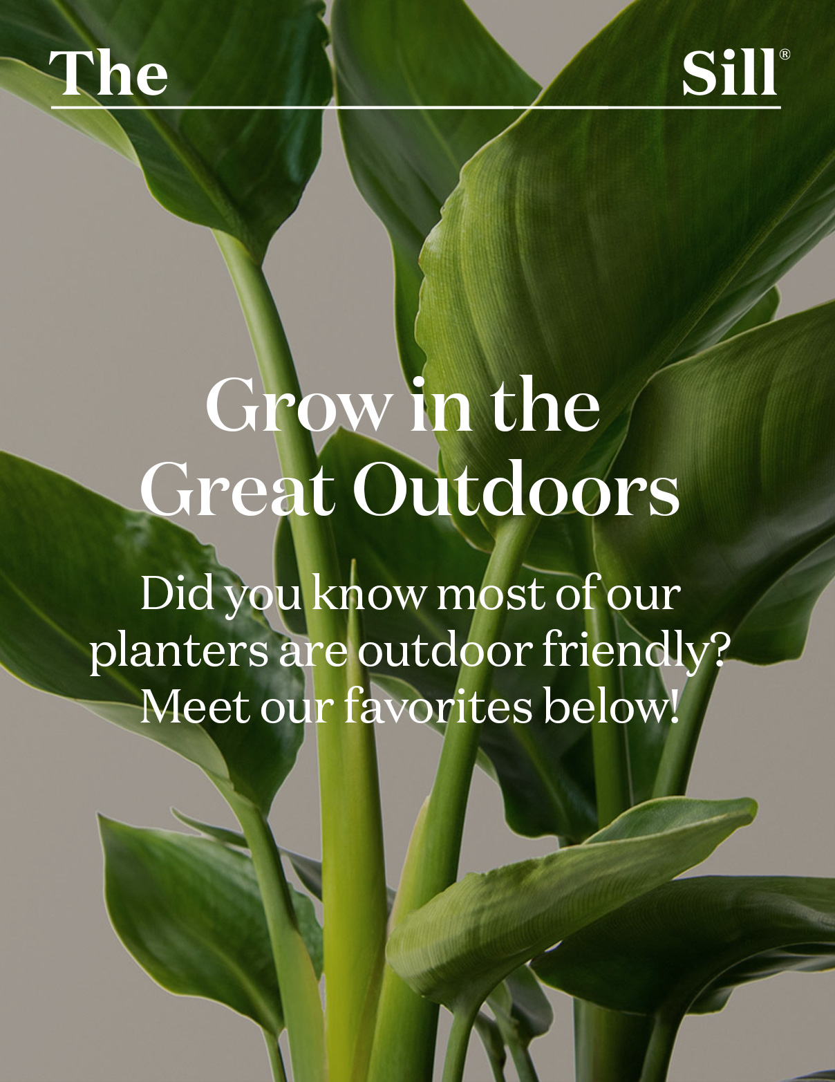 Grow in the great Outdoors