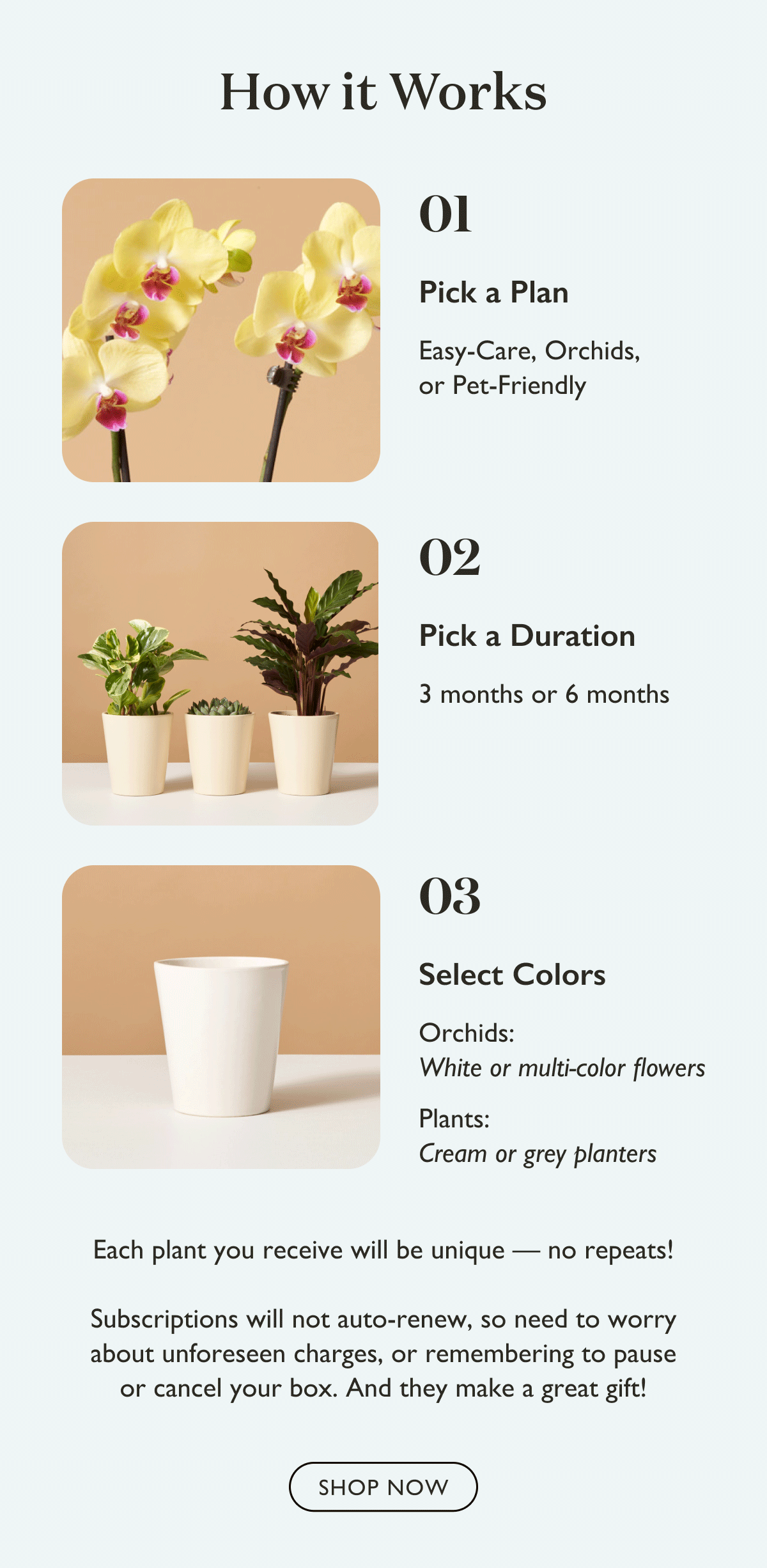 How Subscriptions Work Each plant you receive will be unique — no repeats!  Subscriptions will not auto-renew, so need to worry about unforeseen charges, or remembering to pause or cancel your box. And they make a great gift!