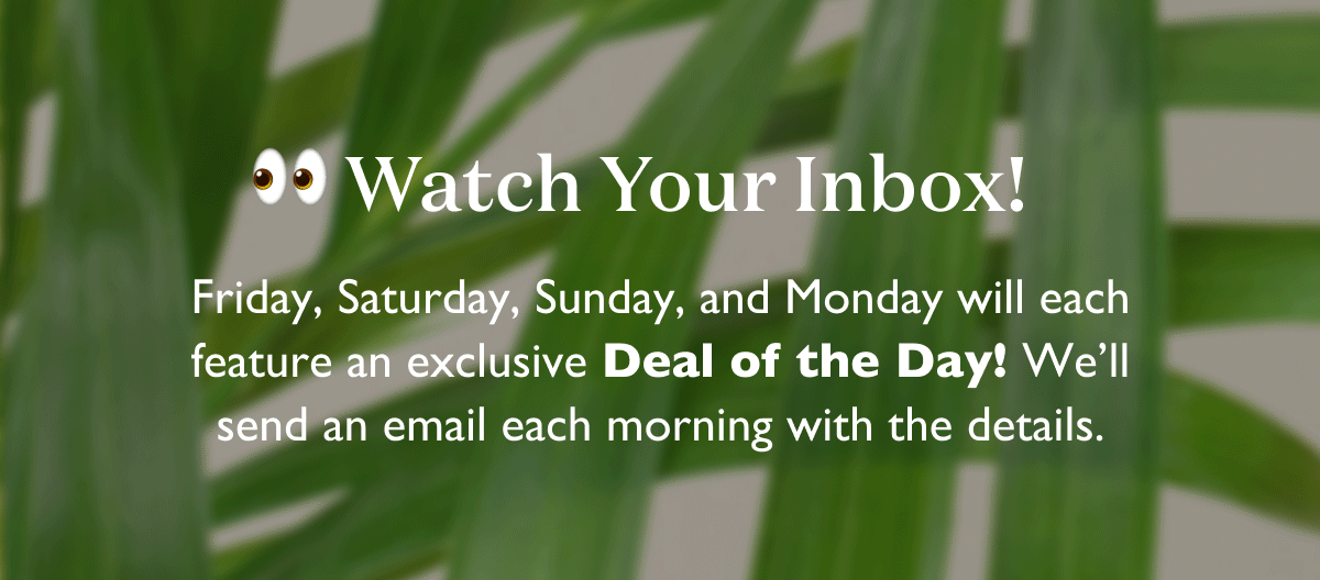 Watch Your Inbox for the Deal of the Day every morning!