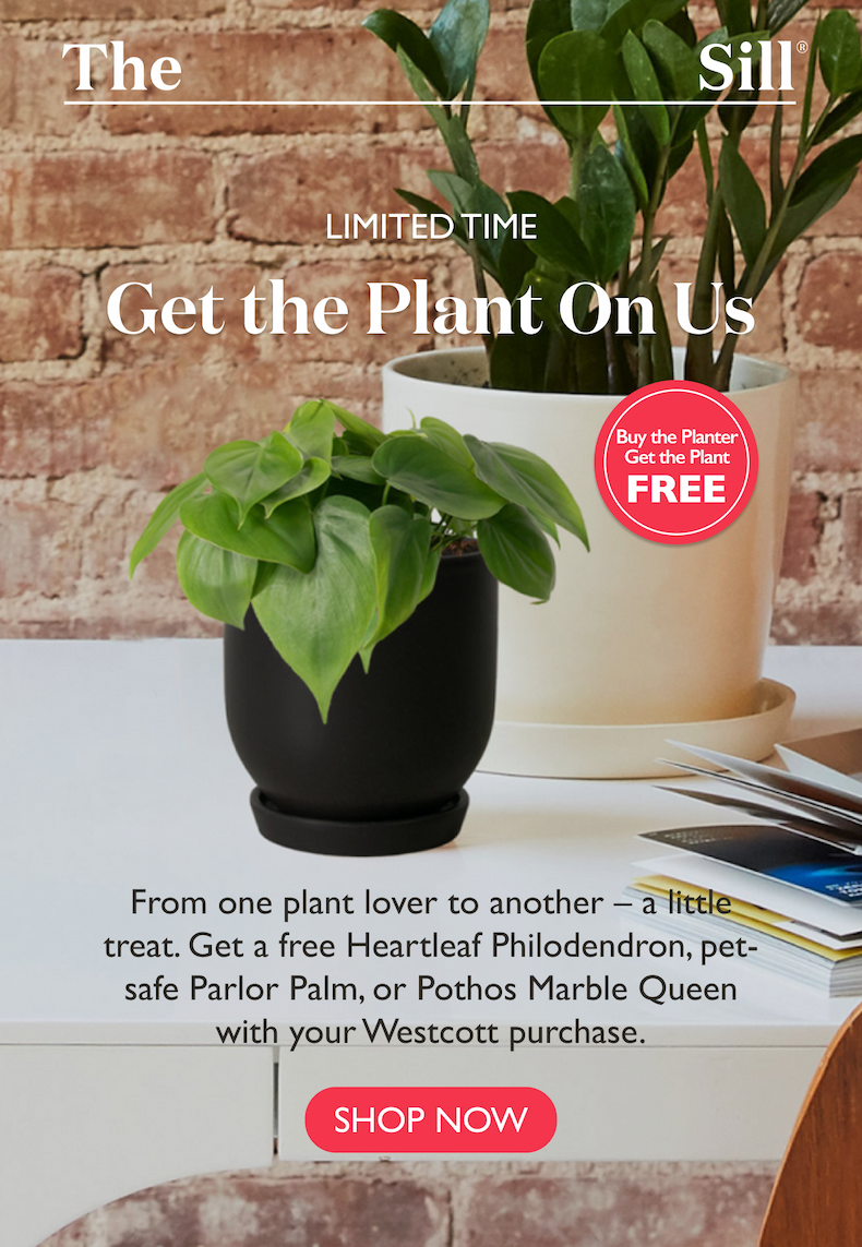 From one plant lover to another – a little treat. Get a free Heartleaf Philodendron, pet-safe Parlor Palm, or Pothos Marble Queen with your Westcott purchase.