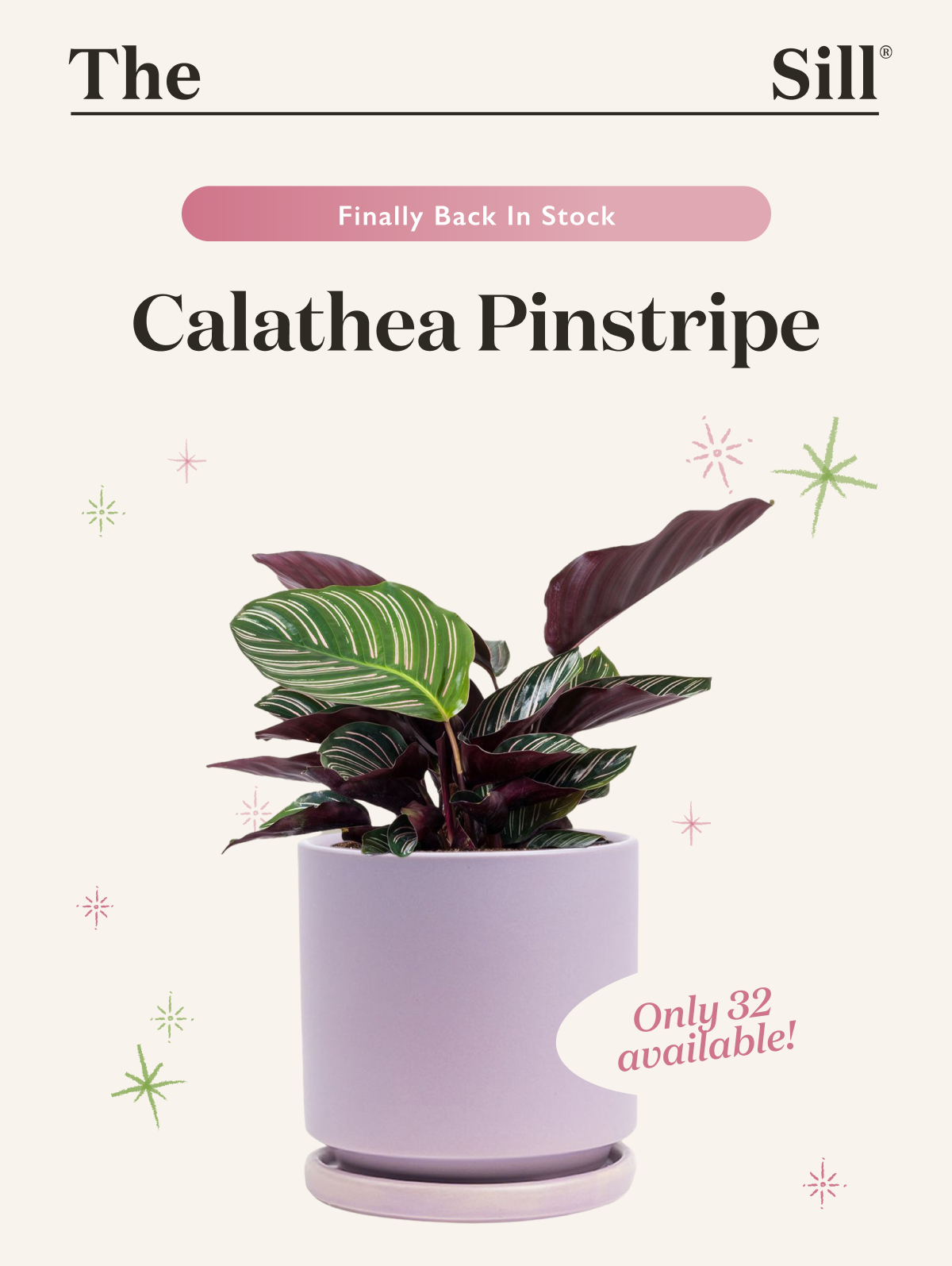 Finally back in stock! Only 32 available.