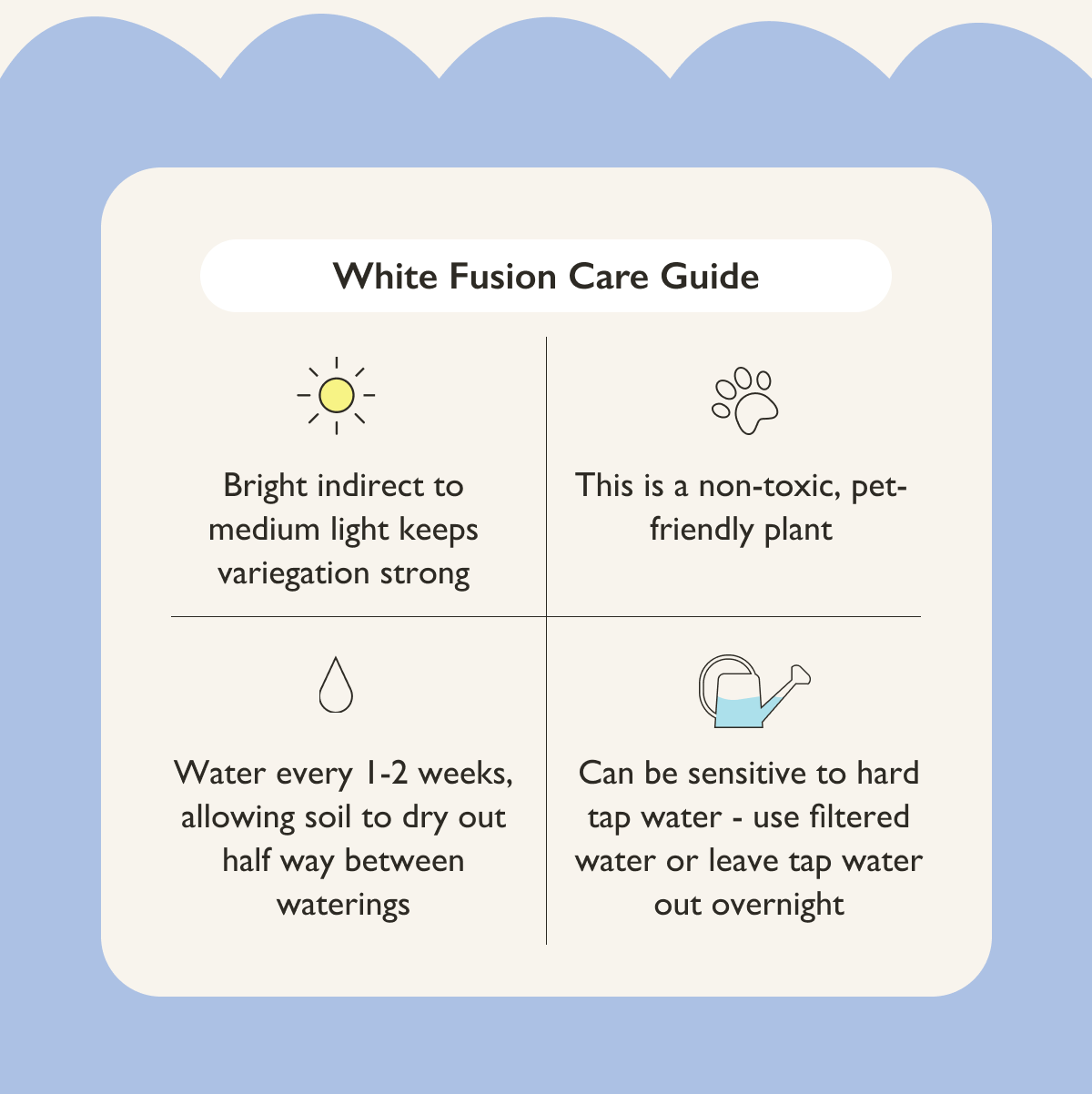 White Fusion Plant Care Guide
