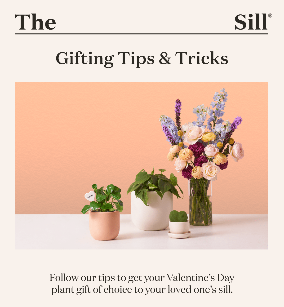 Gifting Tips & Tricks