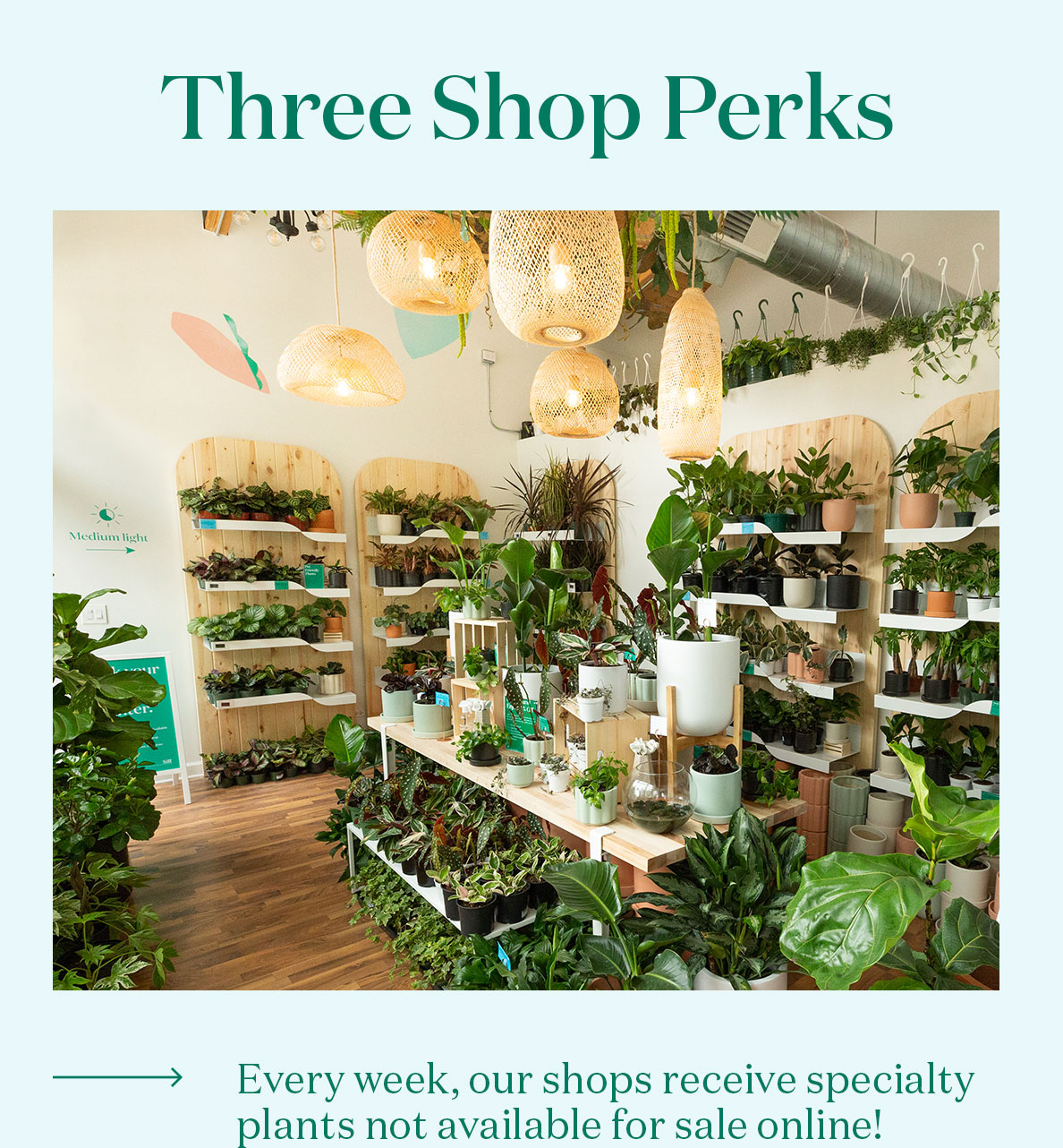Enjoy these perks when you shop our retail locations. Find a store near you!