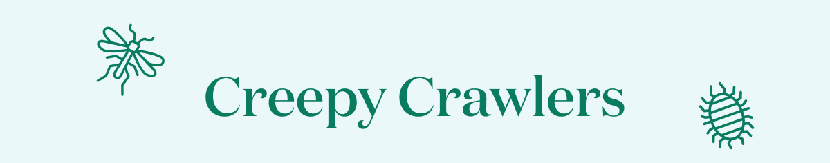 Creepy Crawlers