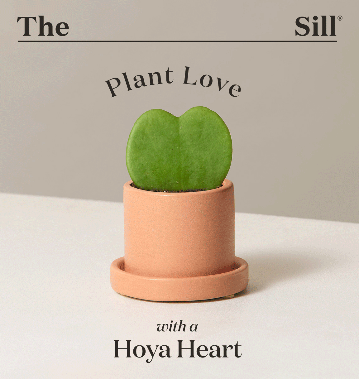 Plant Love with a Hoya Heart