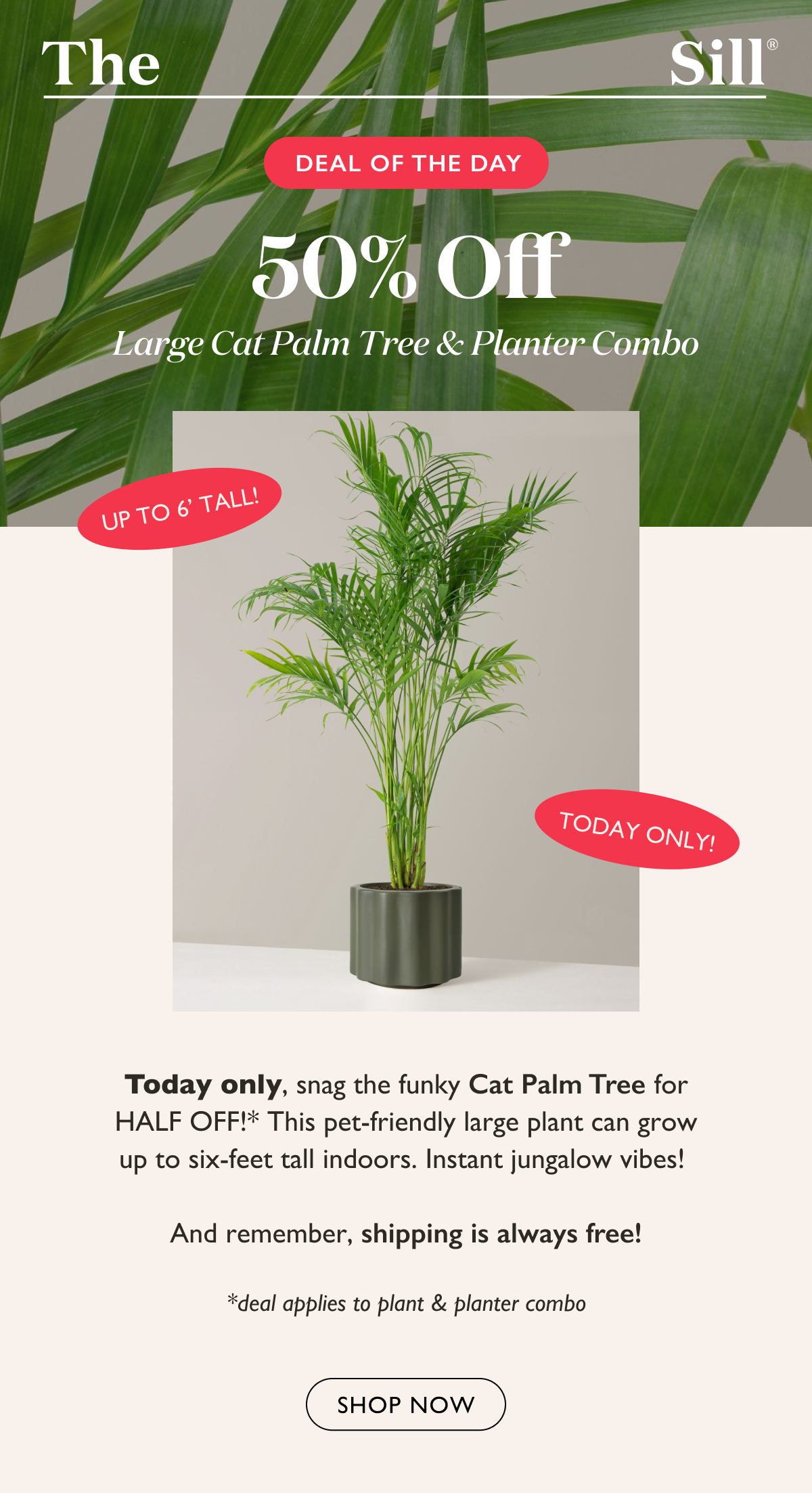 Today only, snag the funky Cat Palm Tree for HALF OFF!* This pet-friendly large plant can grow up to six-feet tall indoors. Instant jungalow vibes!   And remember, shipping is always free!