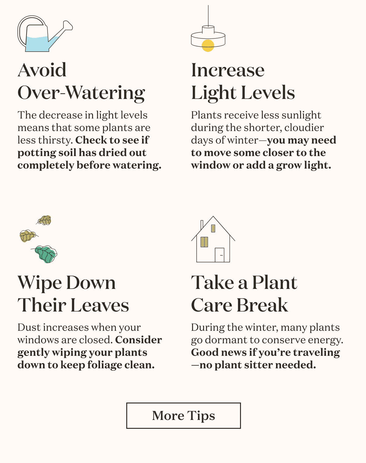 Avoid Over-Watering, Increase Light Levels, Wipe Down Their Leaves and Take a Plant Care Break.