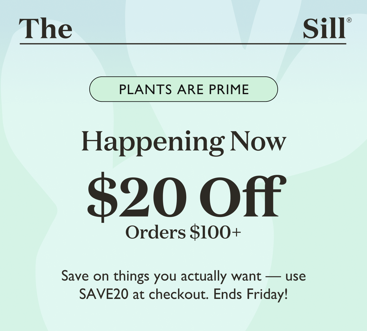 Happening Now: $20 off orders $100 or more. Save on things you actually want with code SAVE20.