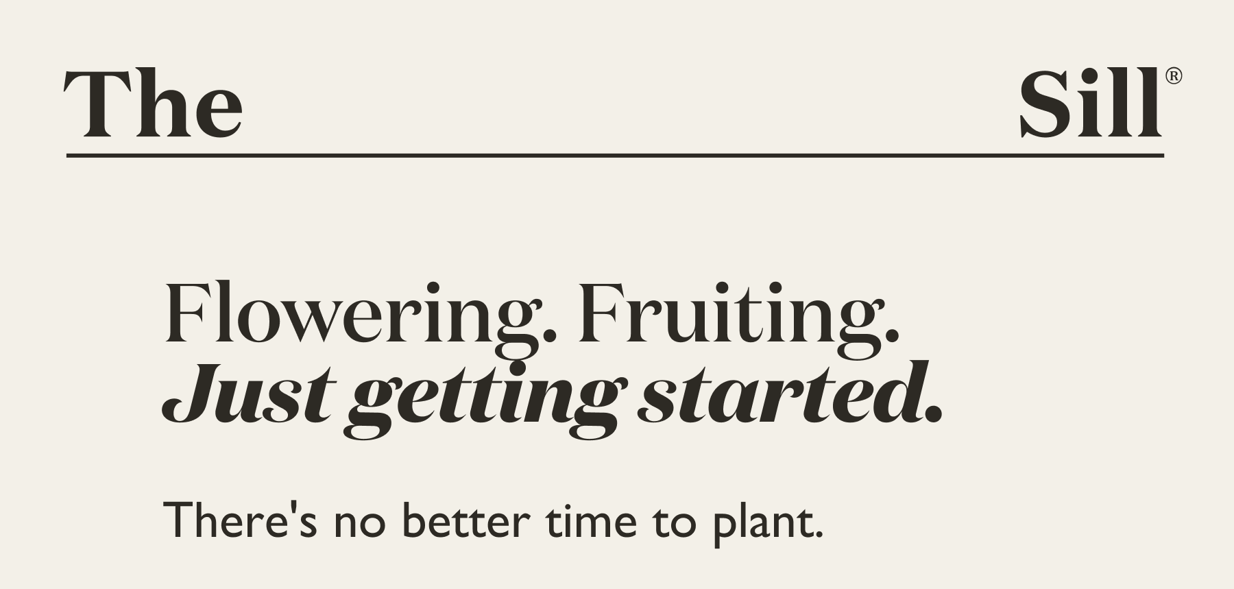 Flowering, fruiting, just getting started. There's no better time to plant.