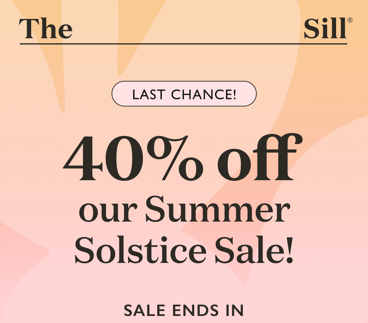 Celebrate the longest day of the year with big savings on seasonal top sellers and year-round favorites. Whether you are starting your green journey or a plant expert, our Summer Solstice Sale has a unique plant to add to your collection.   Enhance your living space. Shop our sale now!