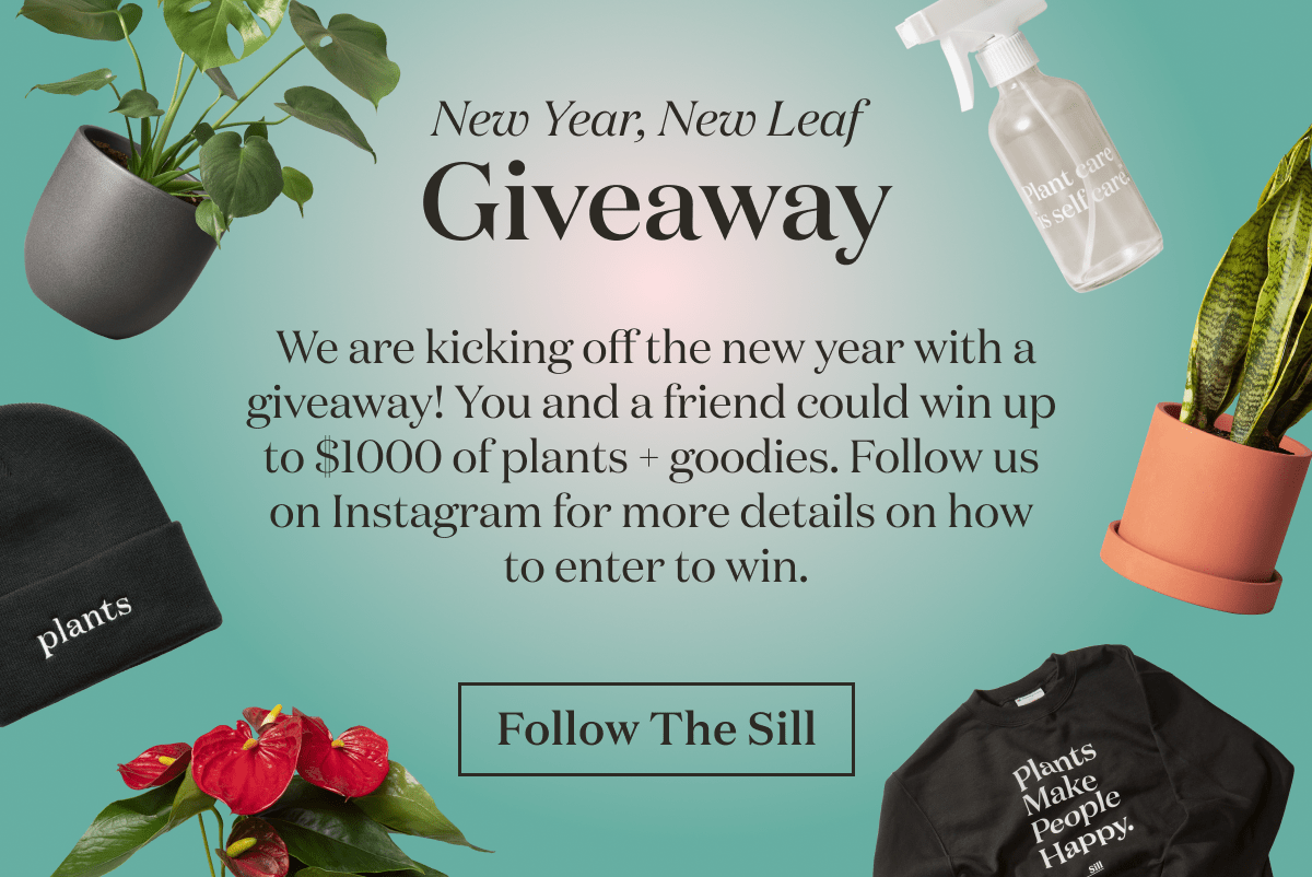 New Year, New Lead Giveaway. We are kicking off the new year with a giveaway! You and a friend could win up  to $1000 of plants + goodies. Follow us  on Instagram for more details on how  to enter to win.