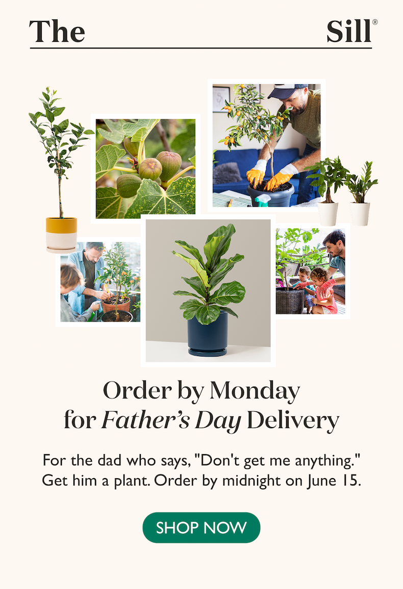For the dad who says, "Don't get me anything." He'd love a plant. Order now for Father's Day.