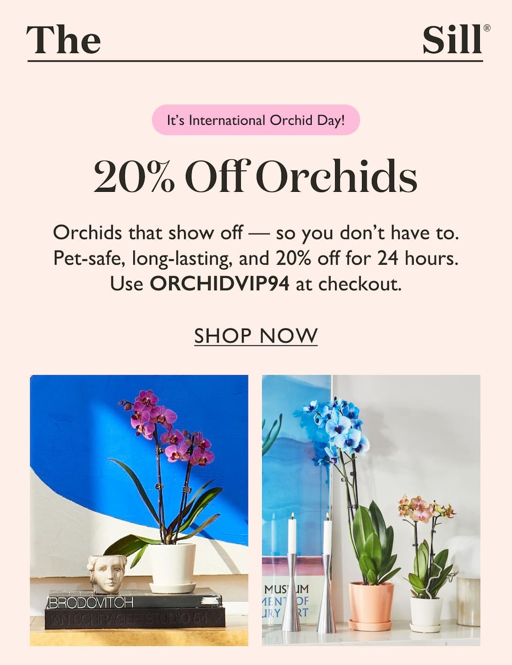 It's International Orchid Day! Get 20% off all Orchids for 24 hours with code ORCHIDVIP94 at checkout.