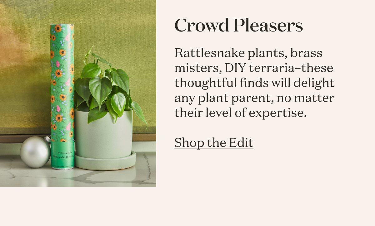 Crowd Pleasers. Rattlesnake plants, brass misters, DIY terraria— these thoughtful finds will delight any plant parent, no matter their level of experience..