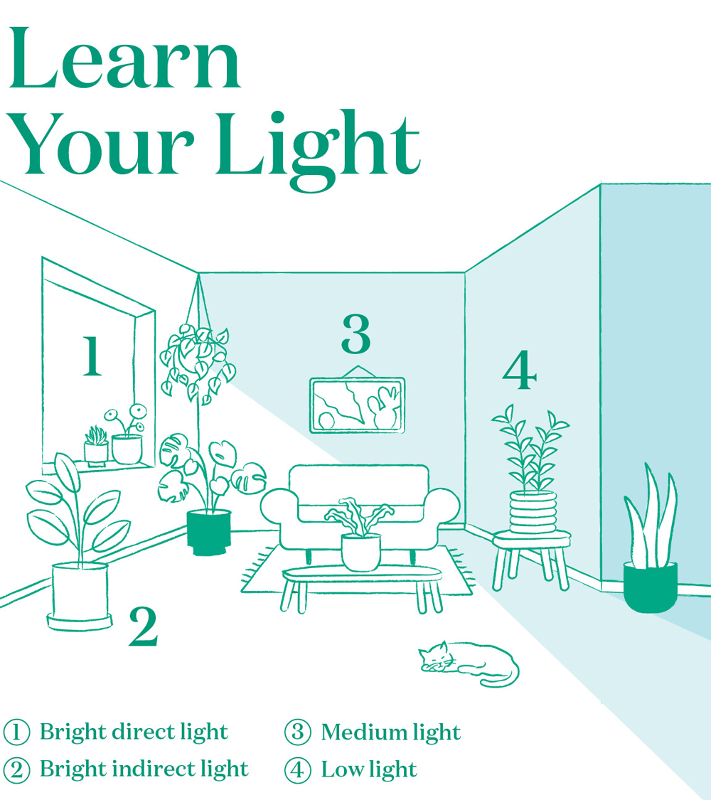 Learn your light