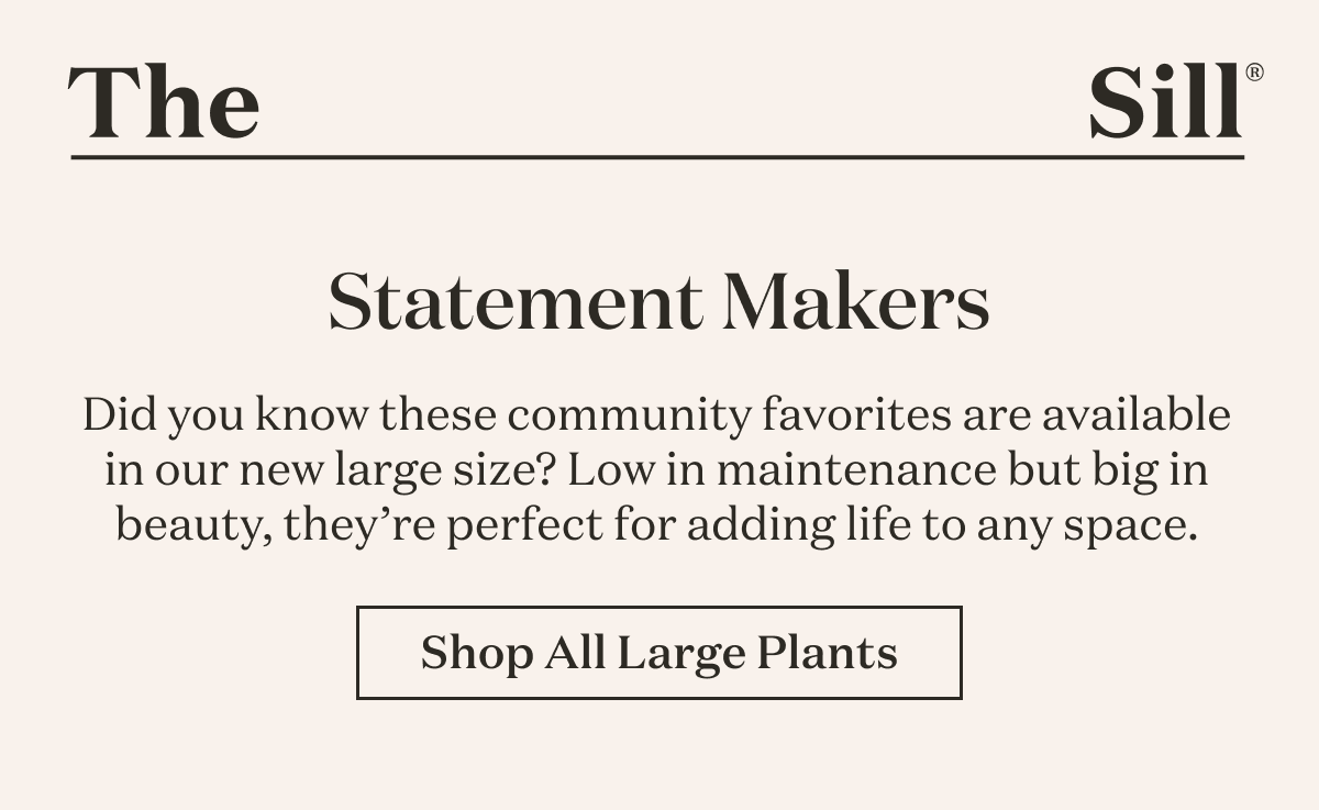 Statement Makers Did you know these community favorites are available in our new large size? Low in maintenance but big in beauty, they’re perfect for adding life to any space.