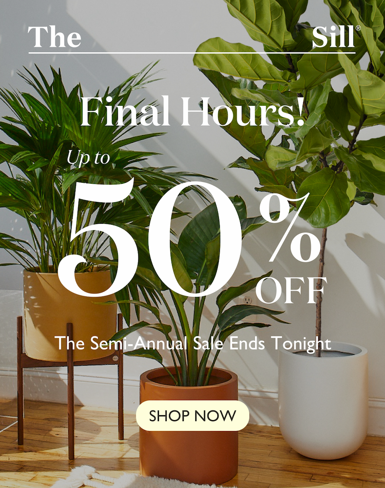 Final hours! Up to 50% off during our Semi-Annual Sale ends at midnight. 