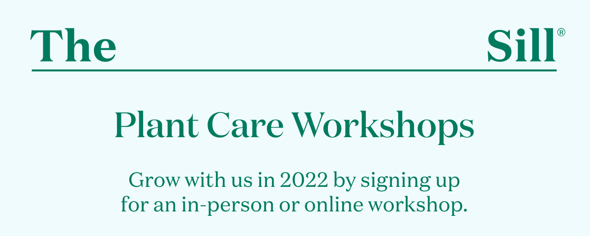 Plant Care Workshops