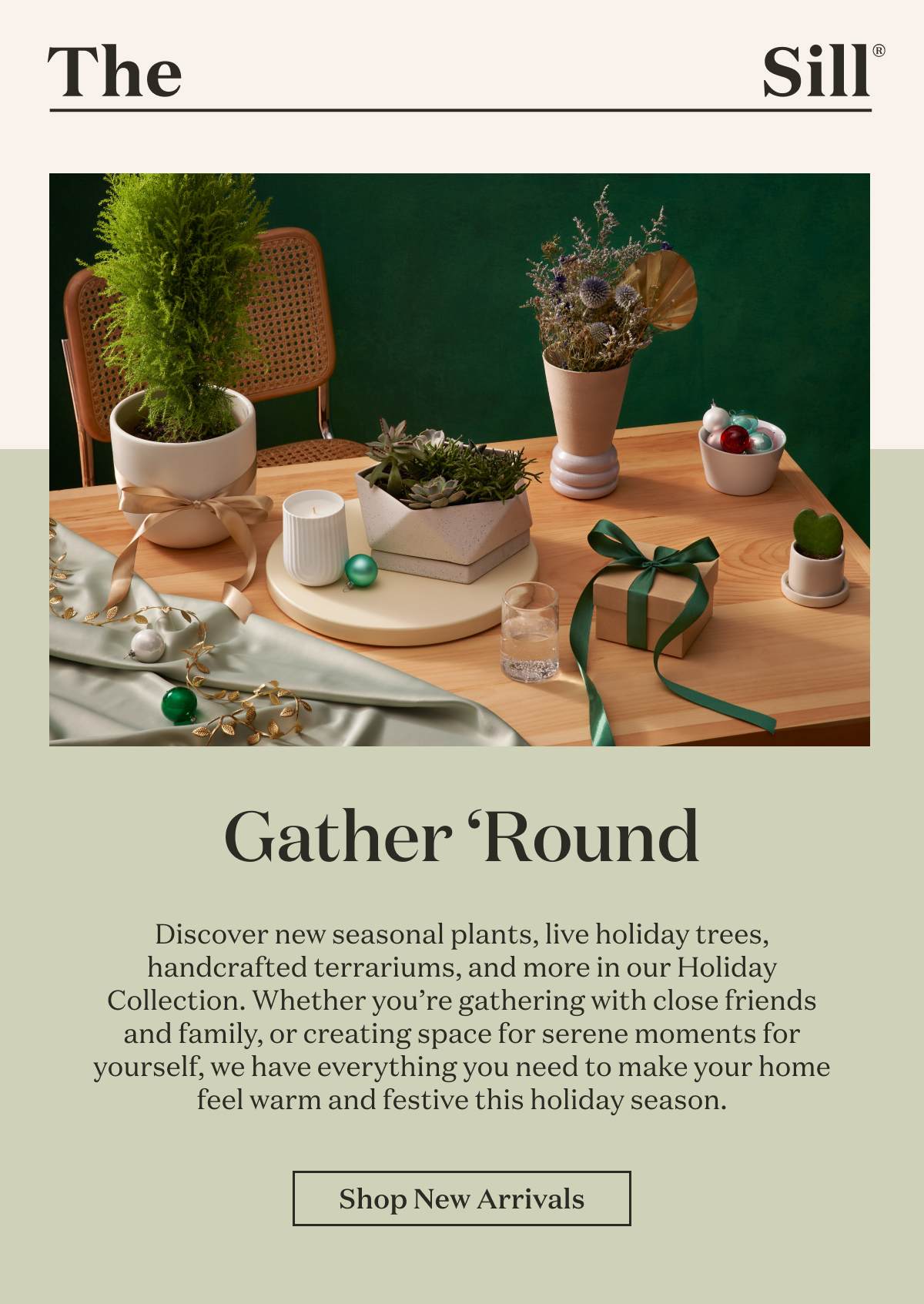 Discover new seasonal plants, live holiday trees, handcrafted terrariums, and more in our Holiday Collection. Whether you’re gathering with close friends and family, or creating space for serene moments for yourself, we have everything you need to make your home feel warm and festive this holiday season. 