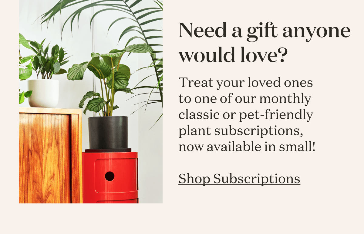 Need a gift anyone would love? Shop Subscriptions.
