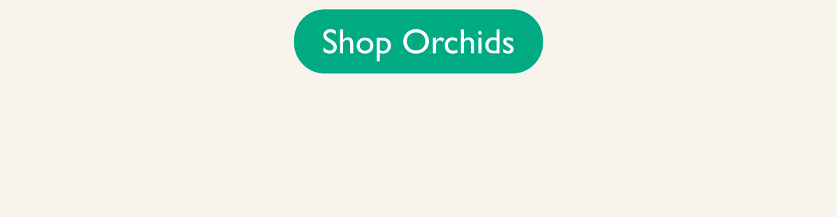 Orchid Plants and Gifts