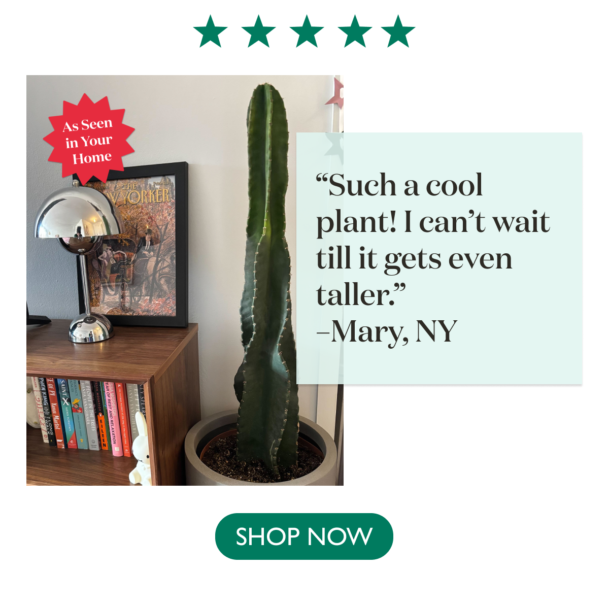 "Such a cool plant! I can't wait till it gets even taller." - Mary, NY
