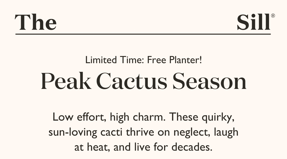 It's Peak Cactus Season! Low effort, high charm. These quirky, sun-loving cacti thrive on neglect, laugh at heat, and live for decades.