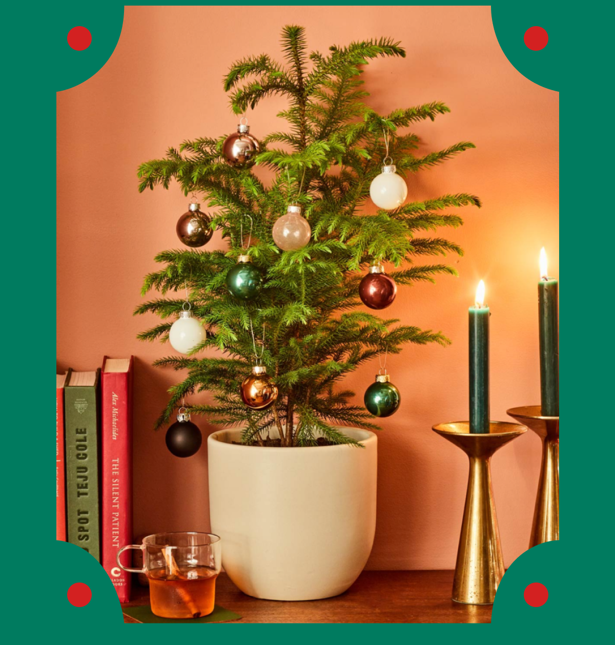 Shop the Live Holiday Tree
