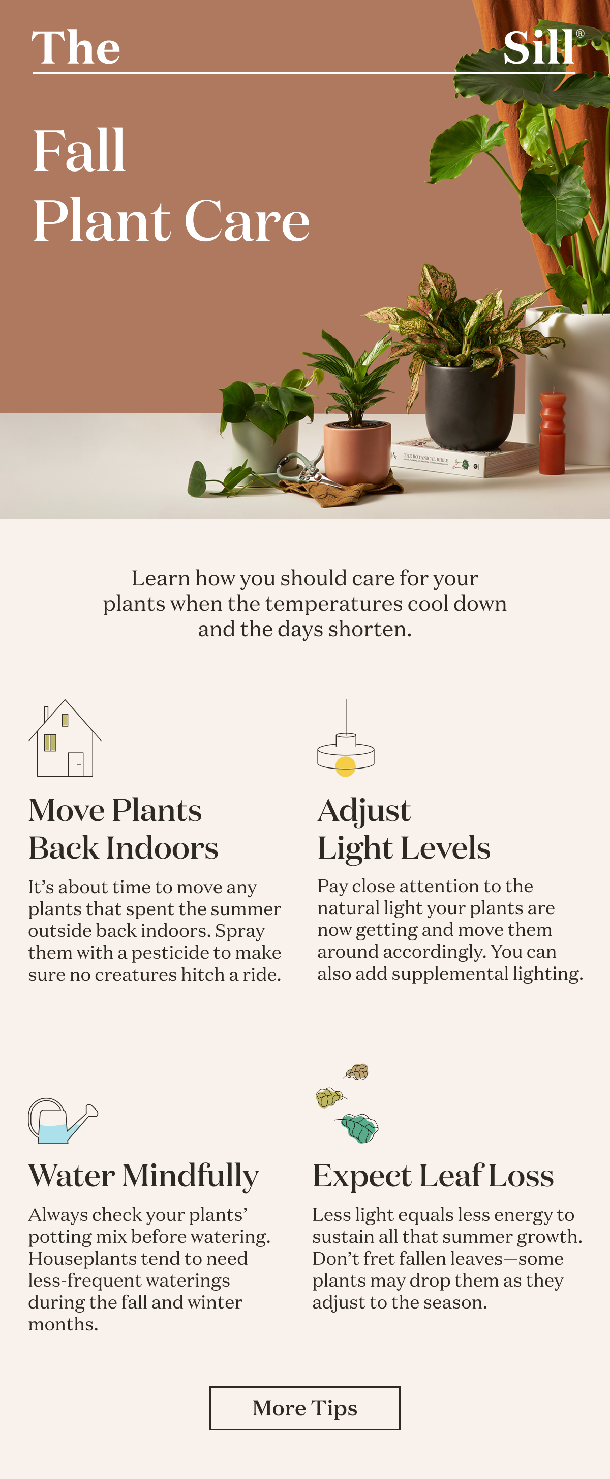 Fall Plant Care. Learn how you should care for your plants when the temperatures cool down and the days shorten. 