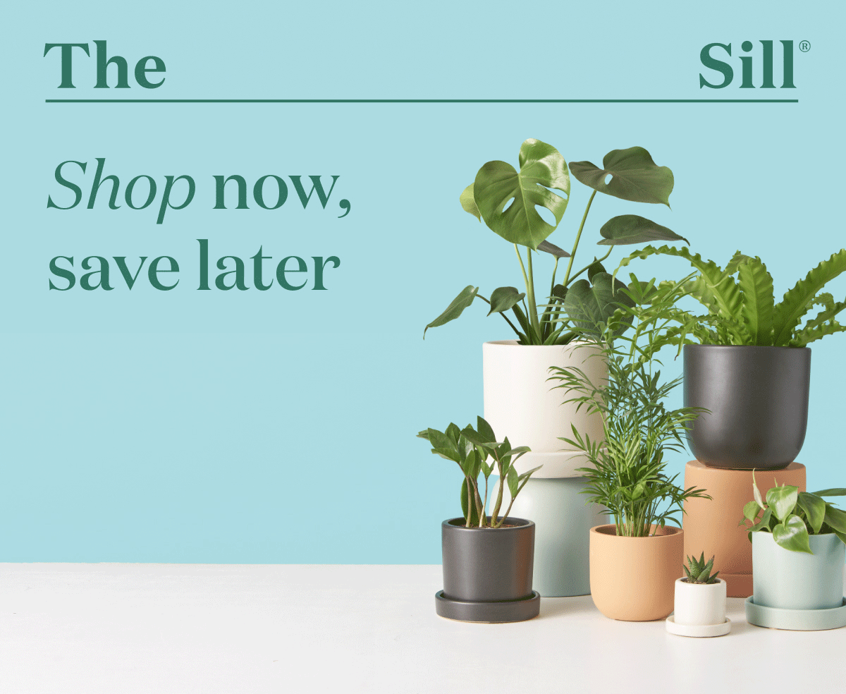 Shop now, save later. Decorate now, save later. Gift now, save later.