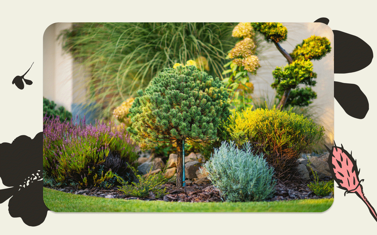 Plants for Outdoor Spaces
