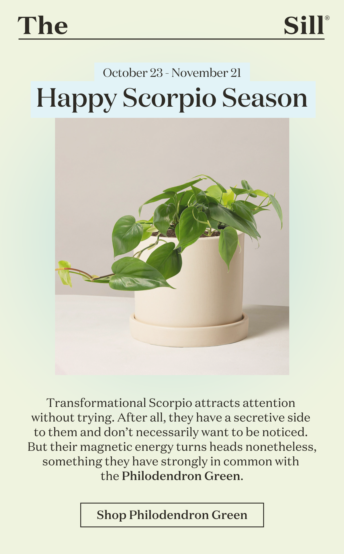 Transformational Scorpio attracts attention without trying. After all, they have a secretive side to them and don’t necessarily want to be noticed. But their magnetic energy turns heads nonetheless, something they have strongly in common with the Philodendron Green. 
