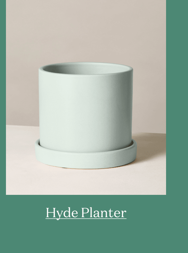 Hyde Planter