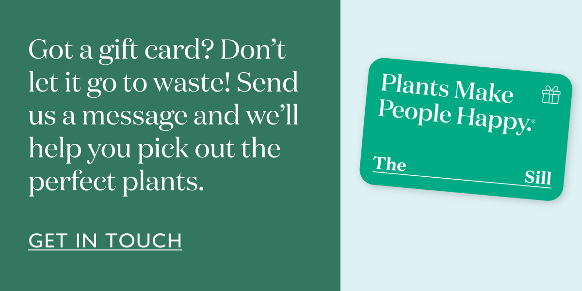 Got a gift card? Don’t let it go to waste! Send us a message and we’ll help you pick out the perfect plants.