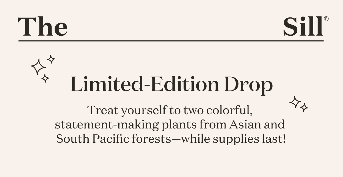 Limited-Edition Drop. Treat yourself to two colorful, statement-making plants from Asian and South Pacific forests-- while supplies last!