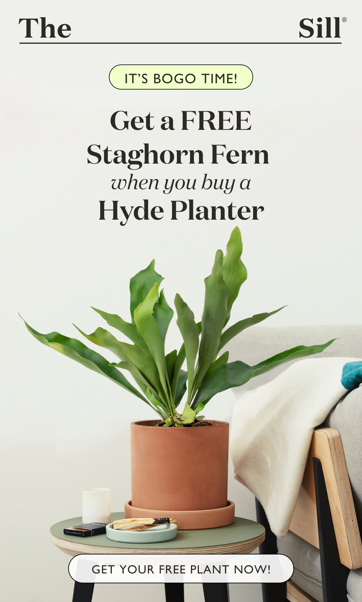 Get a Free Staghorn Fern when you buy a Hyde Planter — click now to shop!
